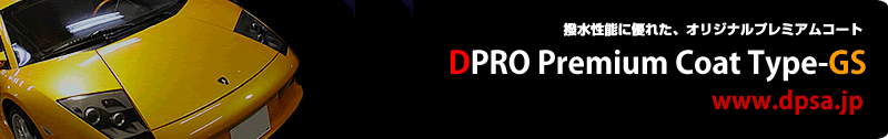 DPRO Type-GS�@�o�i�[